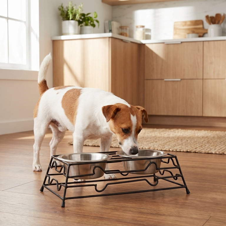 Vibrant Life Small Elevated Pet Double Diner, Silver photo 3