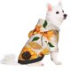 thumbnail image 2 of Balery Sunflower 5 Sudadera con Capucha para Perros Pequeños – Ropa para Mascotas, Disfraz para Perros y Gatos, Ideal para Fiestas y Cosplay-X-Small, 2 of 7