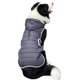 thumbnail image 1 of Ropa gris oscuro con capucha para mascotas, abrigo de invierno para perros, chaqueta cálida, ropa con cinturón para perros MFZFUKR BST3000728-1, 1 of 6