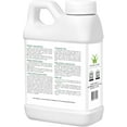 thumbnail image 4 of EL+ Turf Colorant – Grass Paint Spray for Dead or Dormant Lawn – 32 fl oz Concentrate – Sunlit Green, 4 of 7