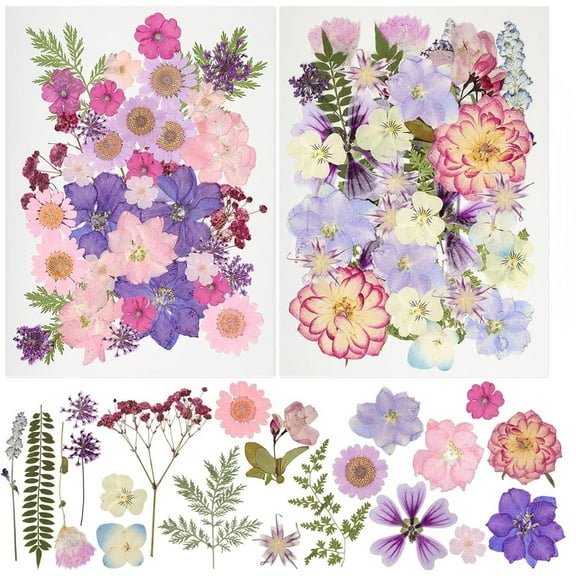 Ekuci Dried Pressed Flowers, 105 Pcs Real Natural Pressed Flowers Bulk for Resin Mold, Scrapbooking, Nail Art, Jewelry Making DIY