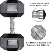 TLGREEN Rubber Coated Cast Iron Hex Dumbbell, 40lb, Set of 2,Strength Training Dumbbell for Workout & Exercise
