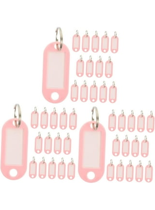 150 Pcs Color Plastic Pp Key Plastic Keychain Key Rings for Car Keys Pet  Tags Key Labels Tags for USB Key Tags with Ring Keychains Labels Key Labels  with Circle Rings Blank