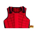 thumbnail image 4 of Hilason Adult Safety Equestrian Eventing Horse Riding Protective Vest, 4 of 7