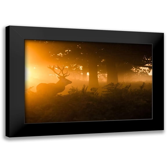 Harling, Stuart 14x11 Black Modern Framed Museum Art Print Titled - Stag in the mist