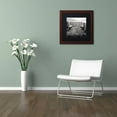 thumbnail image 3 of Trademark Fine Art "Lake Vista II" Canvas Art by Alan Blaustein, Black Matte, Wood Frame, 3 of 4