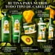 thumbnail image 4 of Herbal Essences Bio:Renew Pequi & Aguacate Nutre-Óleo Finalizador 95 ml, 4 of 5
