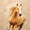 Wheat, variant on Golden Horse Running Oil Painting Canvas Print Wall Art for Living Room Office Study