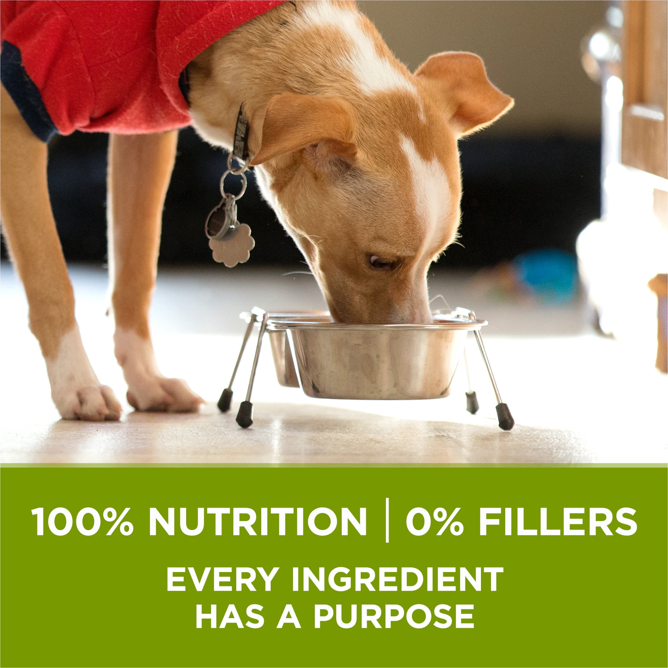 Purina ONE +Plus Whole Body Support with Real Chicken, Dry Dog Food, 1.6 kg