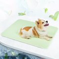 thumbnail image 1 of Dog Cooling Mat Breathable Cooling Pad for Dog Cats Washable Pet Cooling Mat for Indoor Outdoor Pets with Non-Slip Bottom 40 x 28 inch Light Green Large, 1 of 5