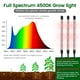 thumbnail image 4 of Kit de inicio de semillas SOLIGT de 60 celdas con luz de cultivo y tapete térmico, 4 of 4