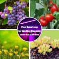 thumbnail image 6 of Plant Lighting Growing for Seedling Blooming Phyto Lamp Succulents Fruit and Vegetable USB LED Grow Light Plant Grow Lamp for Indoor Plants Full Spectrum 4.5W LED LIGHT & EXTENSION CABLE, 6 of 8