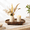 Dark Brown-12", variant on Black 10" Round Decorative Wooden Tray for Bathroom Counter and Tabletop Use