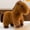 Brown, variant on Hmgxay Adorable Plush Horse Toy, Cute Realistic Mini Pony Doll, Soft Cuddly Foal Stuffed Animal, Comfortable Playmate for Kids