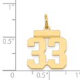 thumbnail image 4 of 14k Yellow Gold Polished Finish Small Size Number 33 Charm Pendant, 4 of 4