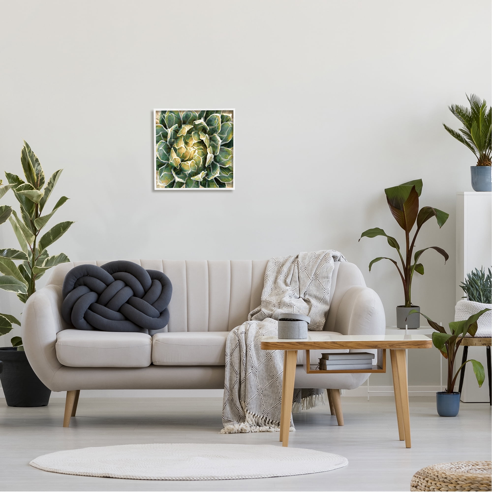 Stupell Industries Leafy Succulent Plant Nature Botanical & Floral Painting White Framed Art Print Wall Art