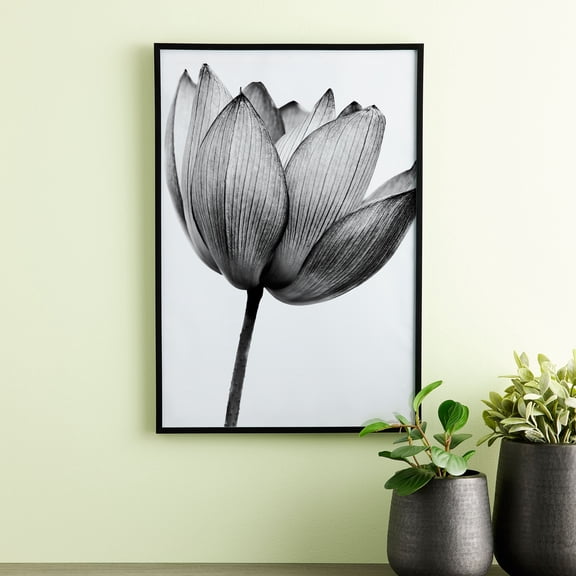 Studio Decor Basics Black Multipurpose Frame
