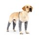 thumbnail image 2 of Funda Protectora Para Piernas De Mascotas Con Manga De Cuatro Patas Para Perros Envoltura Protectora Para Piernas De Cachorros Para Uso En Interiores Y Exteriores Speravity PT001479-02, 2 of 7