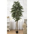 thumbnail image 2 of 6' Smilax Tree, 2 of 4