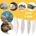 thumbnail image 4 of 5 Pcs/Ensemble Os de Seiche Seiche Nourriture pour Oiseaux Calcium Nouveau B4C9 g, 4 of 7