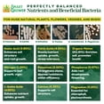 thumbnail image 2 of Organic Plant Food with Beneficial Microbes, Fast Acting Vegan Fertilizer for Vegetable Garden, Outdoor & Indoor Plant Fertilizer, Miracle Growth for Plants Concentrated Value 500GR Makes 120 gallons, 2 of 16