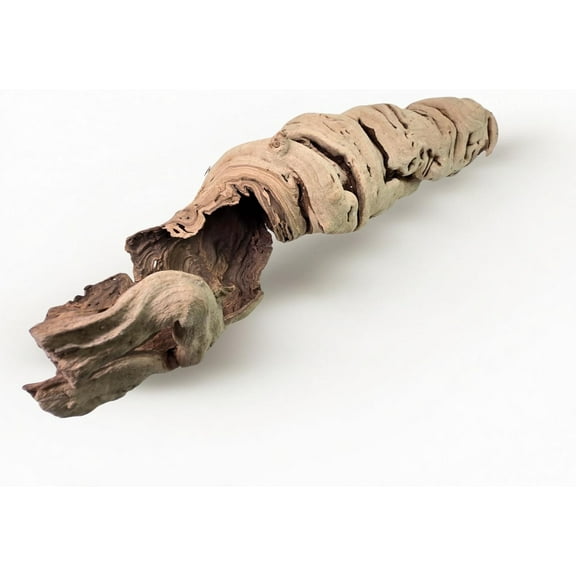 Koyal Wholesale 24" Hollow Grapewood Branch, Pack of 1, Grapewood Centerpiece Vase, Air Plants, Sand Blasted Grapewood