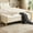 Beige, variant on Shaiaield 65.67" Taupe King Size End of Bed Bench with Storage Space and Upholstered Chenille Fabric,Large Storage Capacity with Double Lids,King Size with Armrest