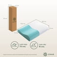 thumbnail image 2 of Almohada Zinus Memory Foam en Caja con Contorno para Cuello. Para Todas las Edades., 2 of 6