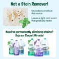 thumbnail image 6 of Carpet Deodorizer and Freshener  -  Safe Rug Refresher for Vacuuming - Mint Odor  for  Odor and   (20 oz), 6 of 6