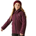 thumbnail image 3 of Regatta Boys/Girls Frelton Waterproof Jacket, 3 of 5