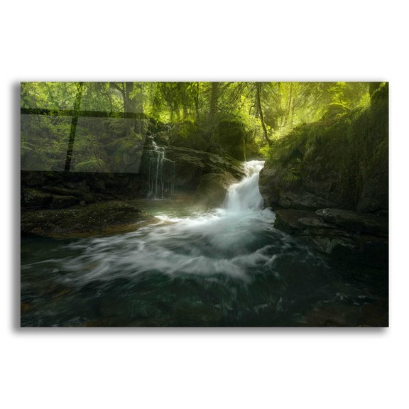 Epic Art 'Stream of Life' by Enrico Fossati, Acrylic Glass Wall Art, 16"x12"
