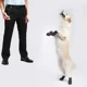 thumbnail image 4 of Clicker para entrenamiento de mascotas con correa de muñeca para gatos, caballos, pájaros y cachorros, 4 of 4