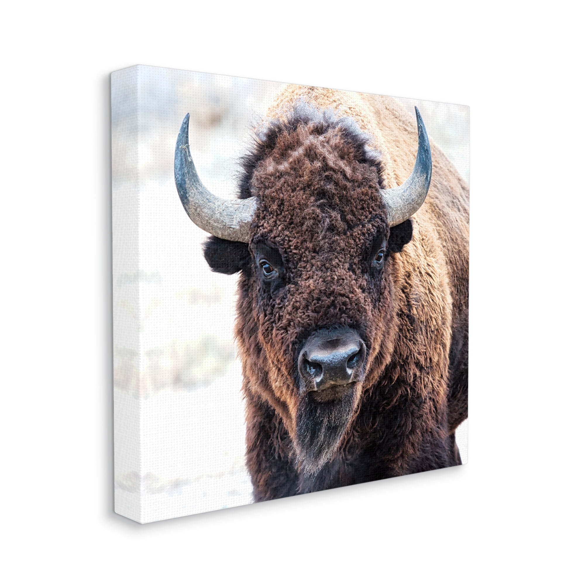 Stupell Industries American Bison Photography Animals & Insects Photography Gallery Wrapped Canvas Print Wall Art, 24 x 24