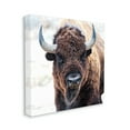 thumbnail image 3 of Stupell Industries American Bison Photography Animals & Insects Photography Gallery Wrapped Canvas Print Wall Art, 30 x 30, 3 of 7