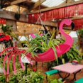thumbnail image 2 of Maceta con diseño de loro volador y flamenco volador, macetero colgante de pájaro de colores brillantes, maceta para plantar plantas y flores de jardín, 2 of 3