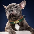 thumbnail image 2 of Collar de perro con placa de identificación de cuero PU personalizado, collares para perros acolchados suaves, nombre grabado gratis para perros pequeños, medianos y grandes, ajustable, 2 of 5