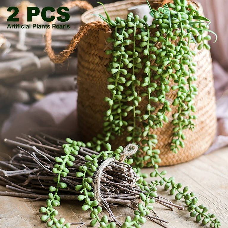 Artificial string on sale of pearls plant