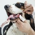 thumbnail image 5 of Pet Republique Soft Fabric Finger Toothbrush Kit for Dogs and Cats – Washable & Reusable (6 Count), 5 of 5