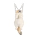 thumbnail image 1 of Mochila de peluche de gato para niños y adolescentes, regalo ideal para los amantes de los gatos. Estilo B, 1 of 9
