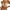 A1 Beige, variant on snilers Sticky Bra Backless Adhesive Strapless Invisible Push Up Bras Stick on Dresses Comfortable Reusable Nipple Cover