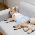 thumbnail image 6 of 1PC Happy Easter Dog Dress, Rabbit Easter Egg Pet Cat Puppy Dresses Tutu Skirt, Summer Small Dog Girl Shirt Clothes (1PC, White, L), 6 of 9