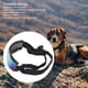 thumbnail image 3 of Gafas para Mascotas Protección UV para Perros Protección contra el Viento Protección contra el Polvo Gafas de Sol Antiniebla para Perros Medianos y Grandes para Caminar Al ANGGREK Otros, 3 of 8