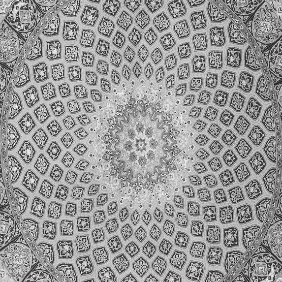 Ahgly Company Indoor Square Medallion Gray Traditional Area Rugs, 8' Square