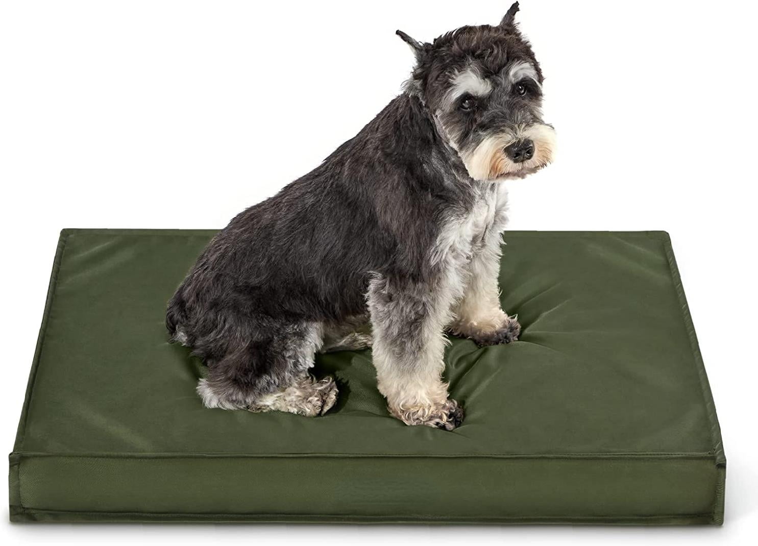 What Is The Best Fabric For Dog Beds