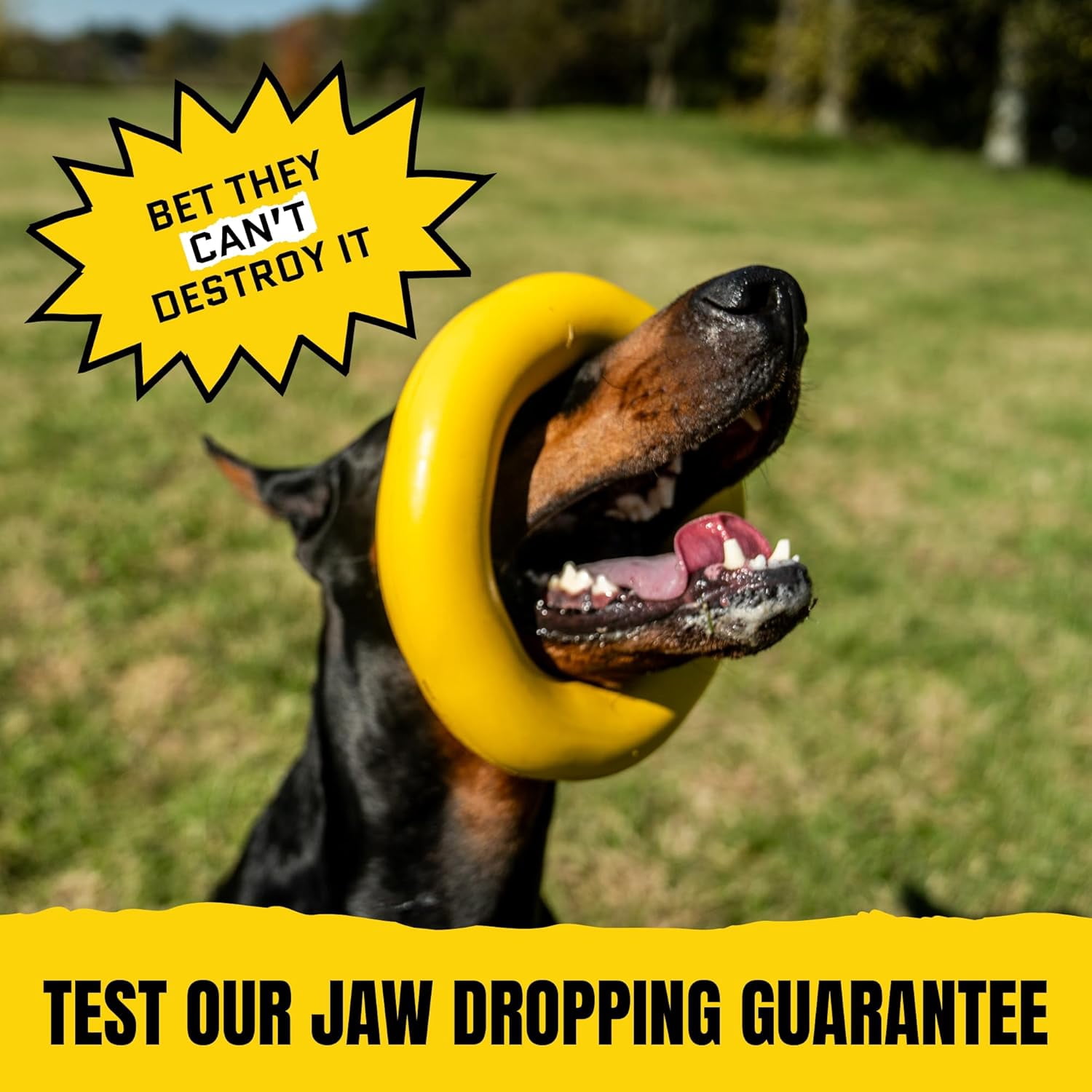Extra-Large Virtually Indestructible Dog Toy with Lifetime Guarantee - Heavy Duty Non-Toxic Natural Rubber Chew Toy for Aggressive Chewers, Tug-of-War, Fetch - Large 9"x2" Size, 2.25lbs Weight