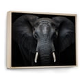 thumbnail image 2 of Designart "Black And White Elephant Beauty Of Strength VI" Animals Floater Framed Canvas Print, 2 of 7