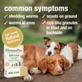 thumbnail image 4 of HomeoPet WRM CLEAR Worm Parasite Remedy Support Drops for Pets, 15 mL, 4 of 9