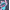 Slate Grey, variant on Disney Stitch Snow Girls Pullover Fleece Sweatshirt, Sizes 4-16