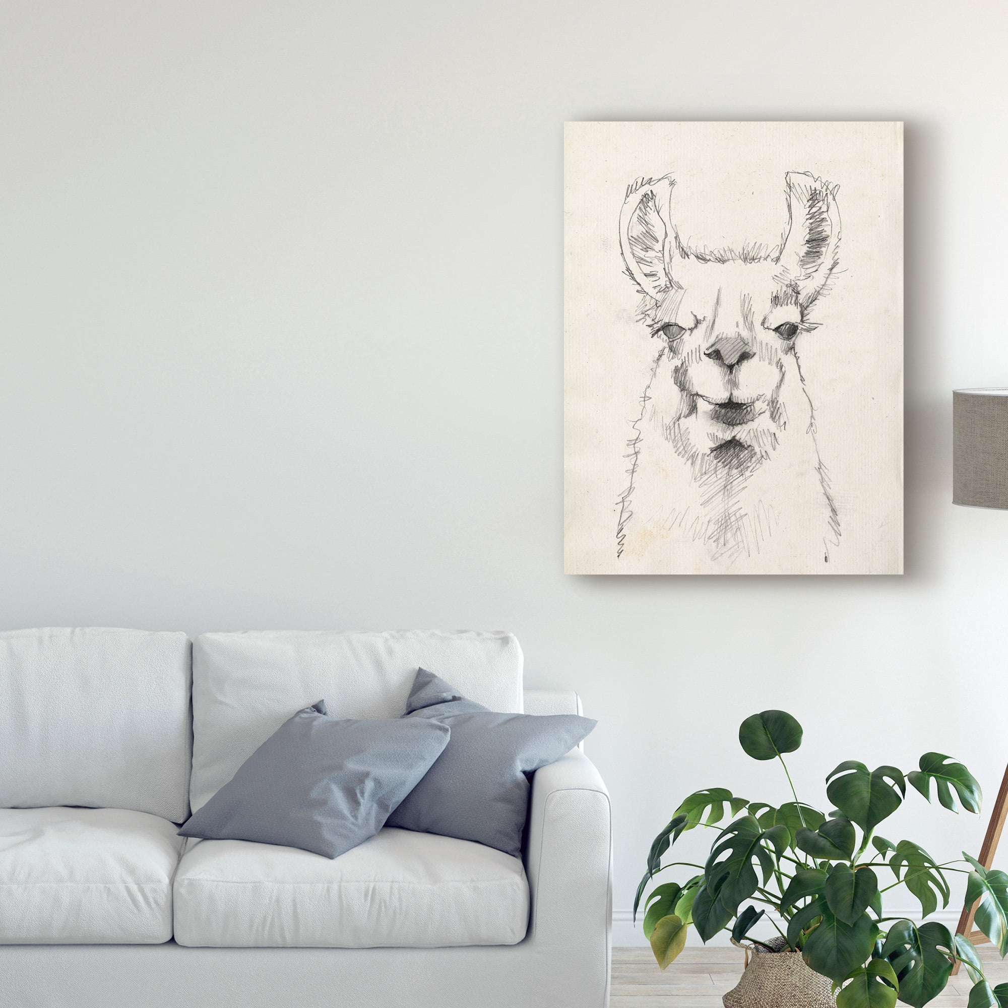 Trademark Fine Art 'Llama Portrait II' Canvas Art by Jennifer Goldberger