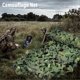 thumbnail image 5 of Woodland Camo Netting Camouflage Net Privacy Protection Camouflage Mesh For Camping Forest Landscape Camouflage Nets Hunting, 5 of 5